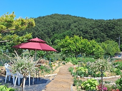 사진첩