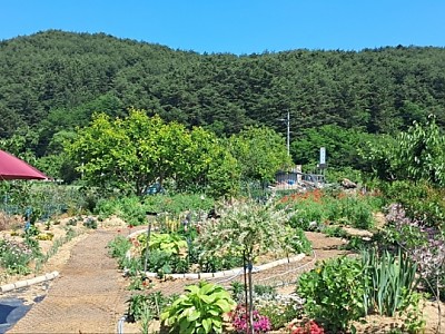 사진첩
